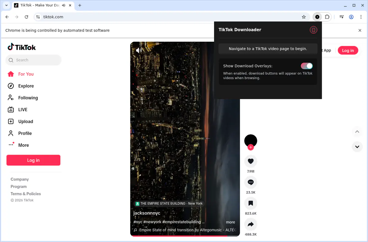 Tiktok Video Downloader browser extension screenshot 2
